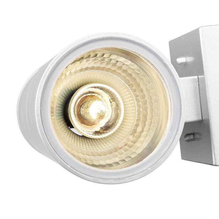 Society 2-Light 12" Up-Down Outdoor Wall Light