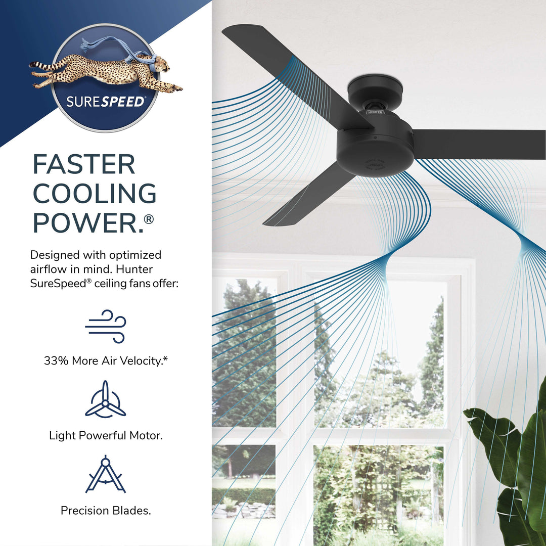 Presto 52 inch Hunter Fan Canada