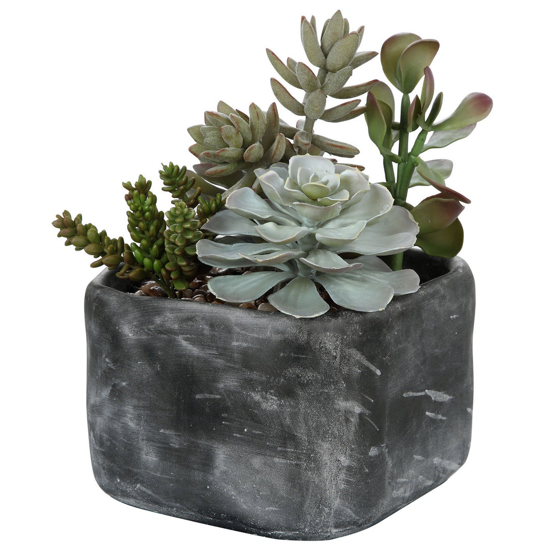 Alverio Succulents in Charcoal Gray - available from The Lighting Shoppe, trusted by Canadian homeowners