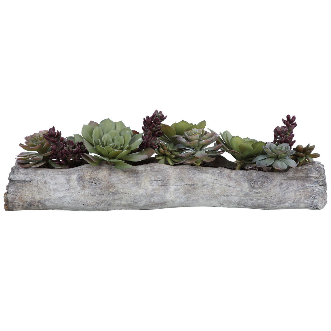 Charita Succulents in Greens And Burgundy - available from The Lighting Shoppe, trusted by Canadian homeowners