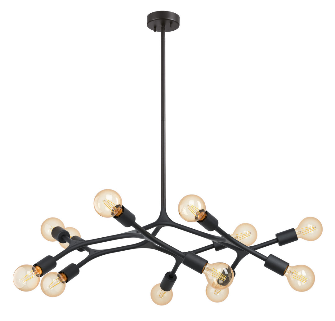 Bocadella 12 Light Pendant in Black - available from The Lighting Shoppe, trusted by Canadian homeowners