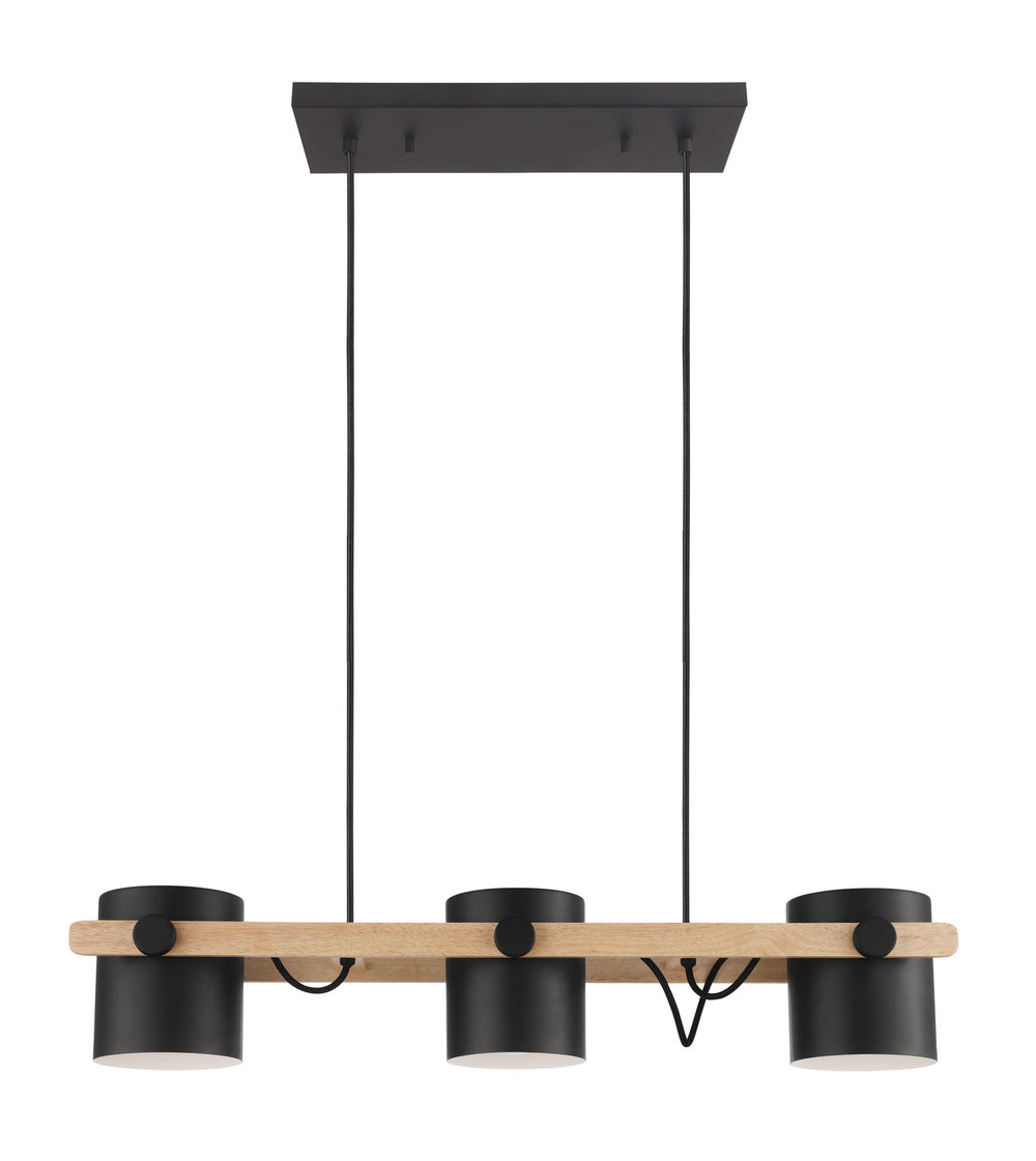 Hornwood Three Light Pendant in Black - available from The Lighting Shoppe, trusted by Canadian homeowners