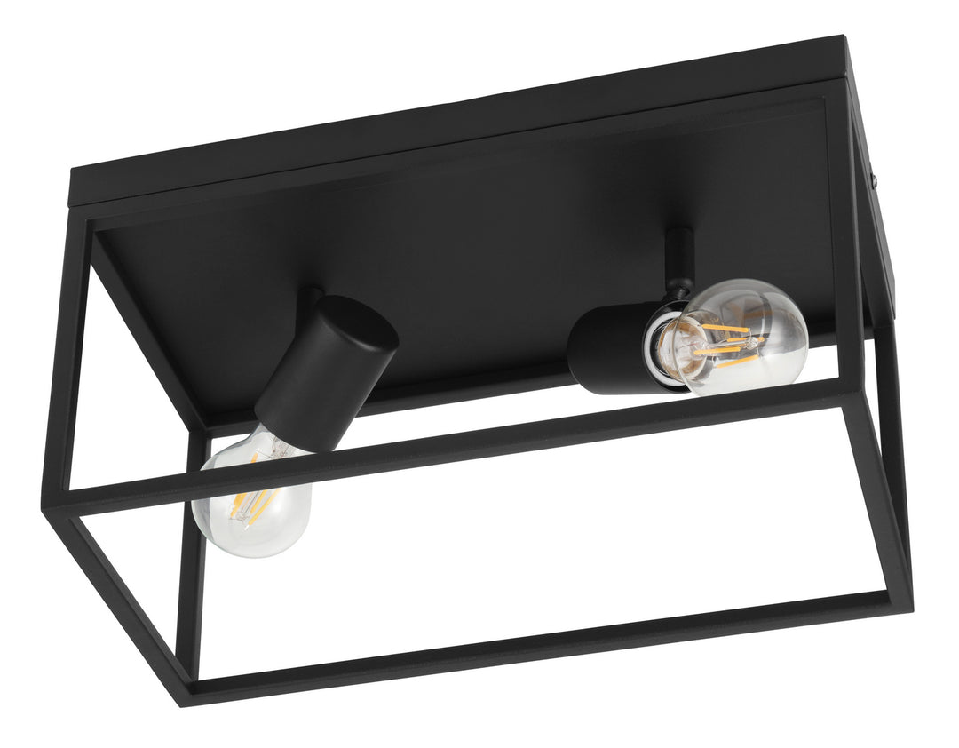 Silentina Two Light Ceiling Mount in Black - available from The Lighting Shoppe, trusted by Canadian homeowners