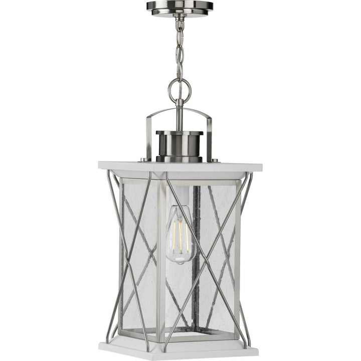 Progress Canada - P550068-135 - One Light Hanging Lantern - Barlowe - Stainless Steel