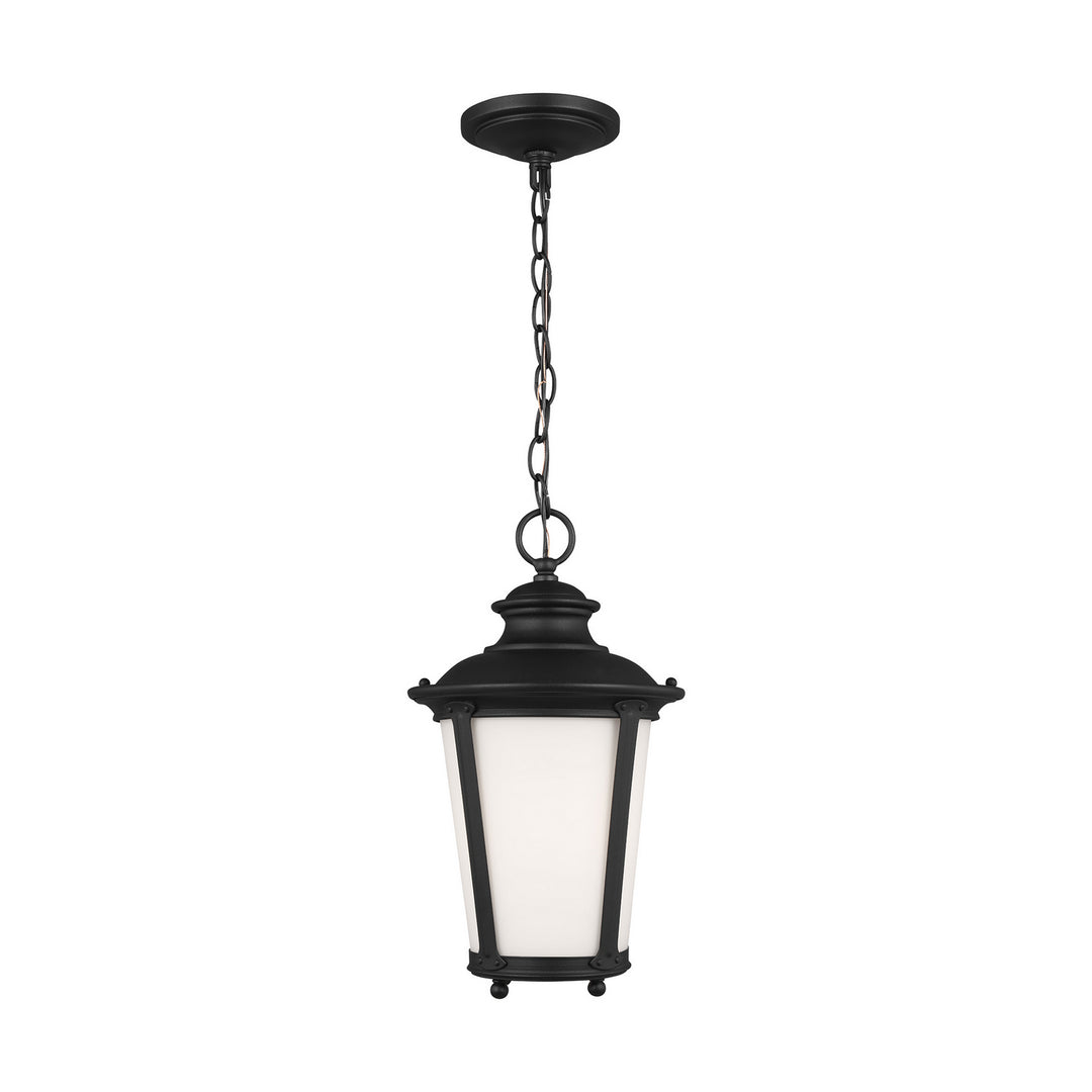 Cape May One Light Outdoor Pendant in Black - available from The Lighting Shoppe, trusted by Canadian homeowners