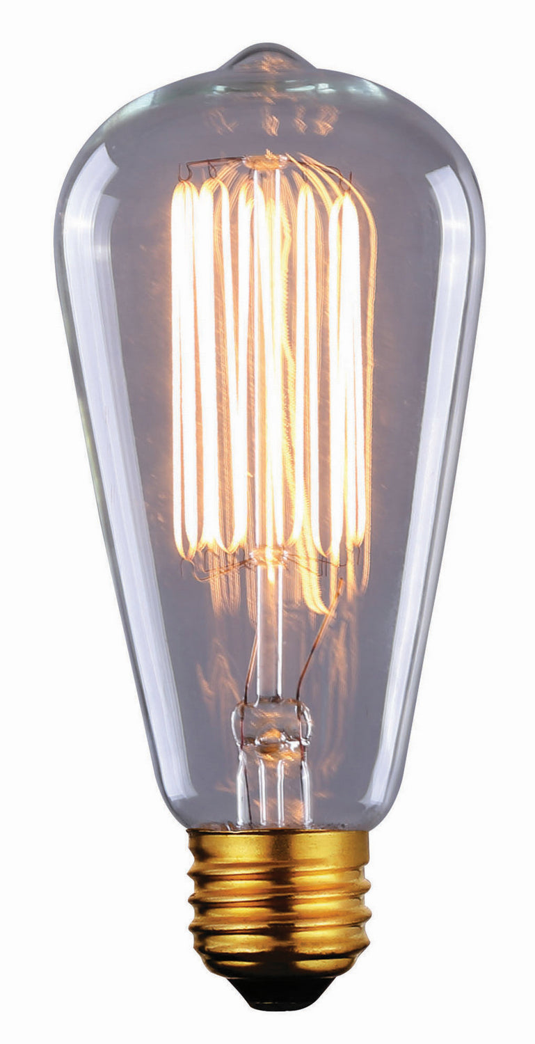 Bulb Light Bulb in Clear - available from The Lighting Shoppe, trusted by Canadian homeowners