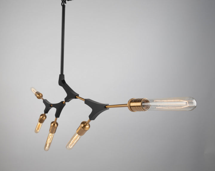 Artcraft Canada - AC11535 - Five Light Chandelier - Filiali - Black & Harvest Brass