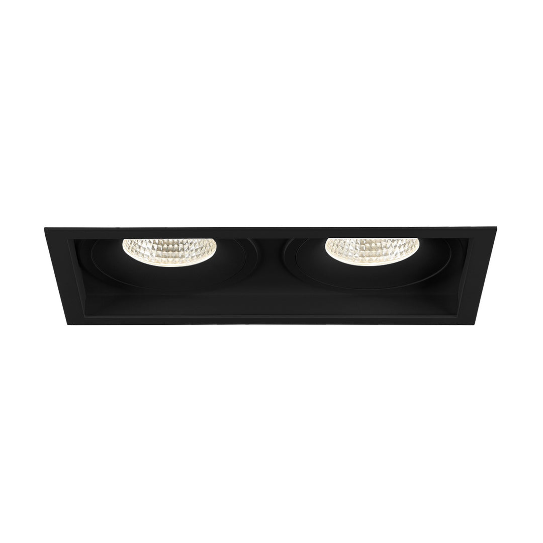 Amigo Two Light Downlight in Black - available from The Lighting Shoppe, trusted by Canadian homeowners