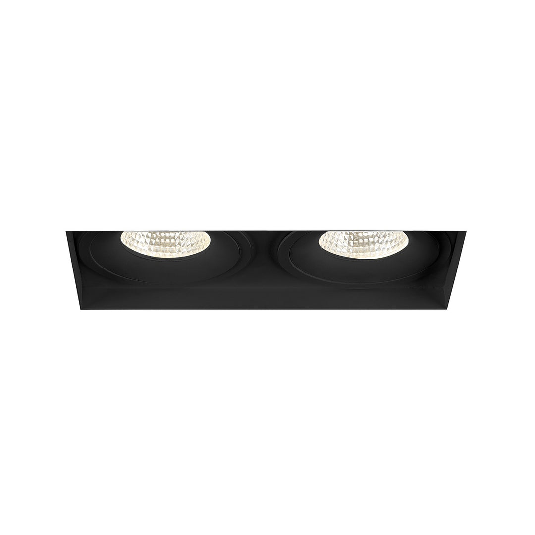 Amigo Two Light Downlight in Black - available from The Lighting Shoppe, trusted by Canadian homeowners