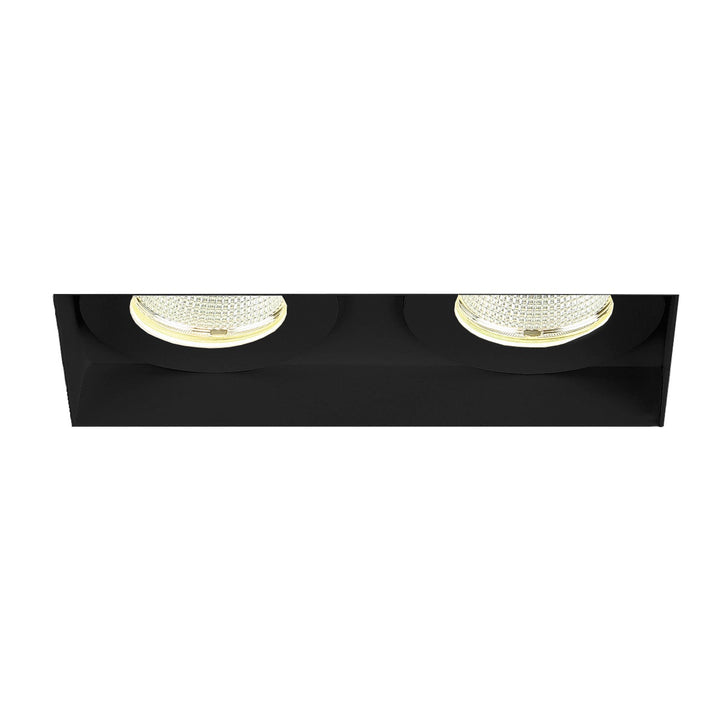 Amigo Two Light Downlight in Black - available from The Lighting Shoppe, trusted by Canadian homeowners