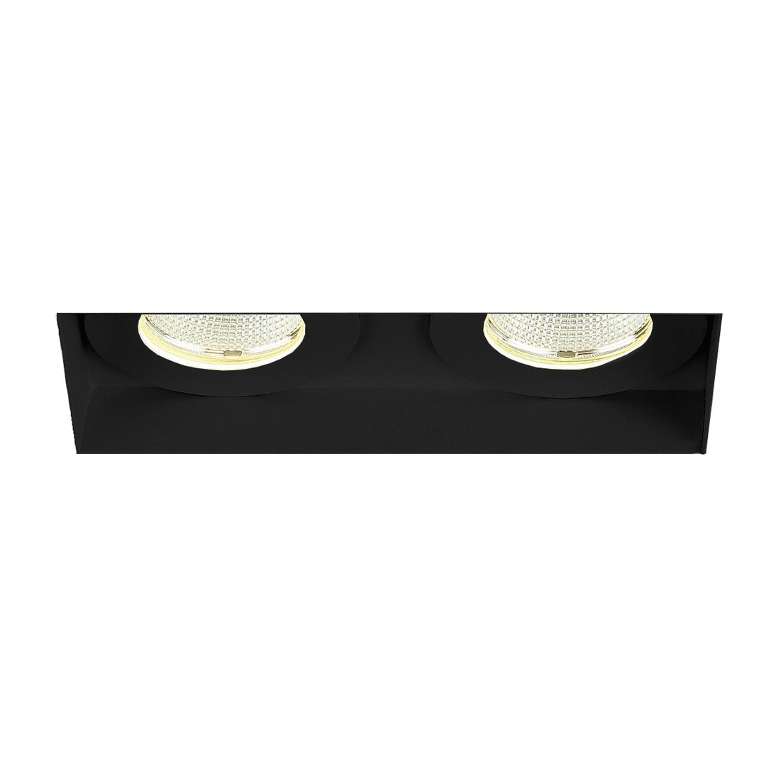 Amigo Two Light Downlight in Black - available from The Lighting Shoppe, trusted by Canadian homeowners