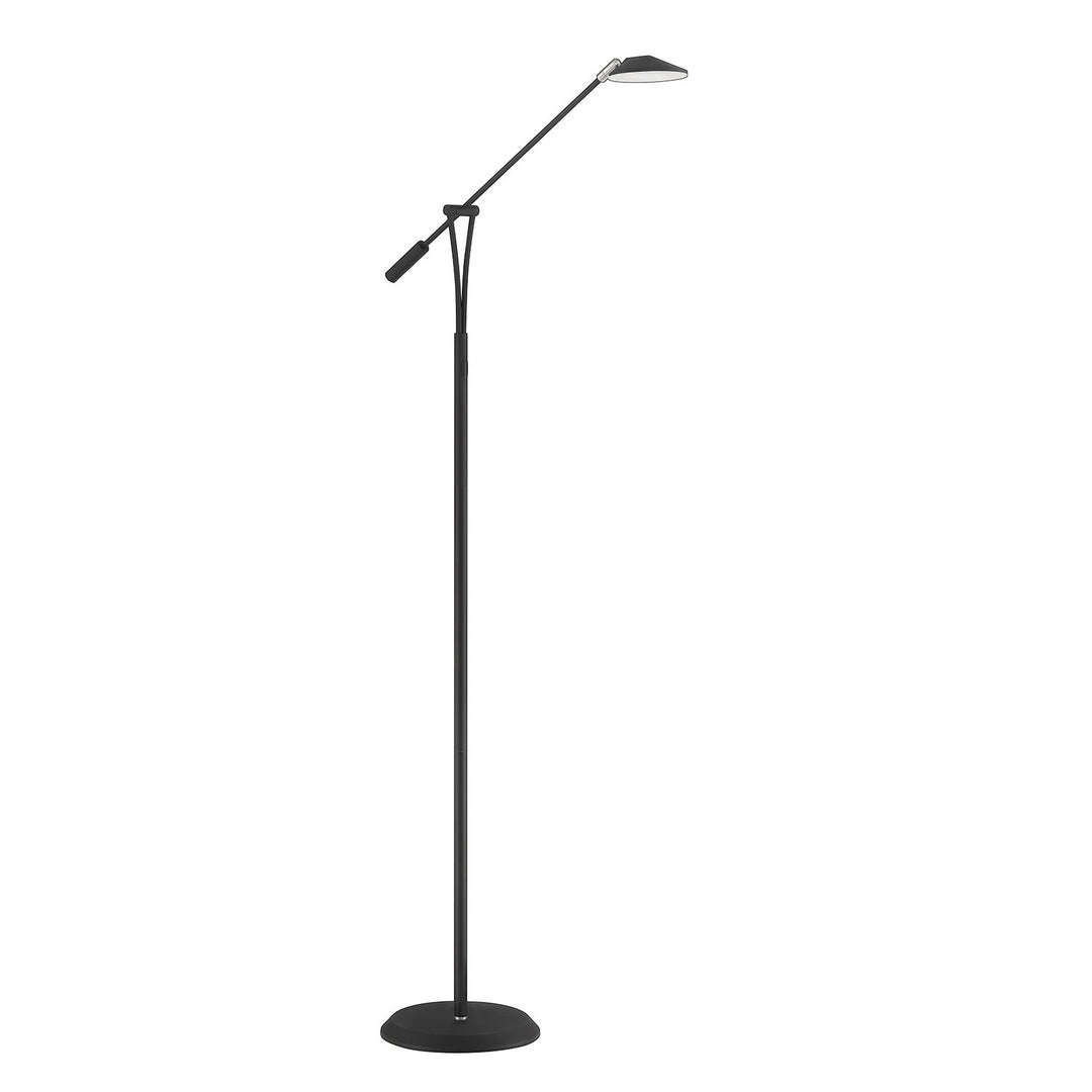 Lahoya LED Floor Lamp in Black & Satin Nickel Kendal Canada