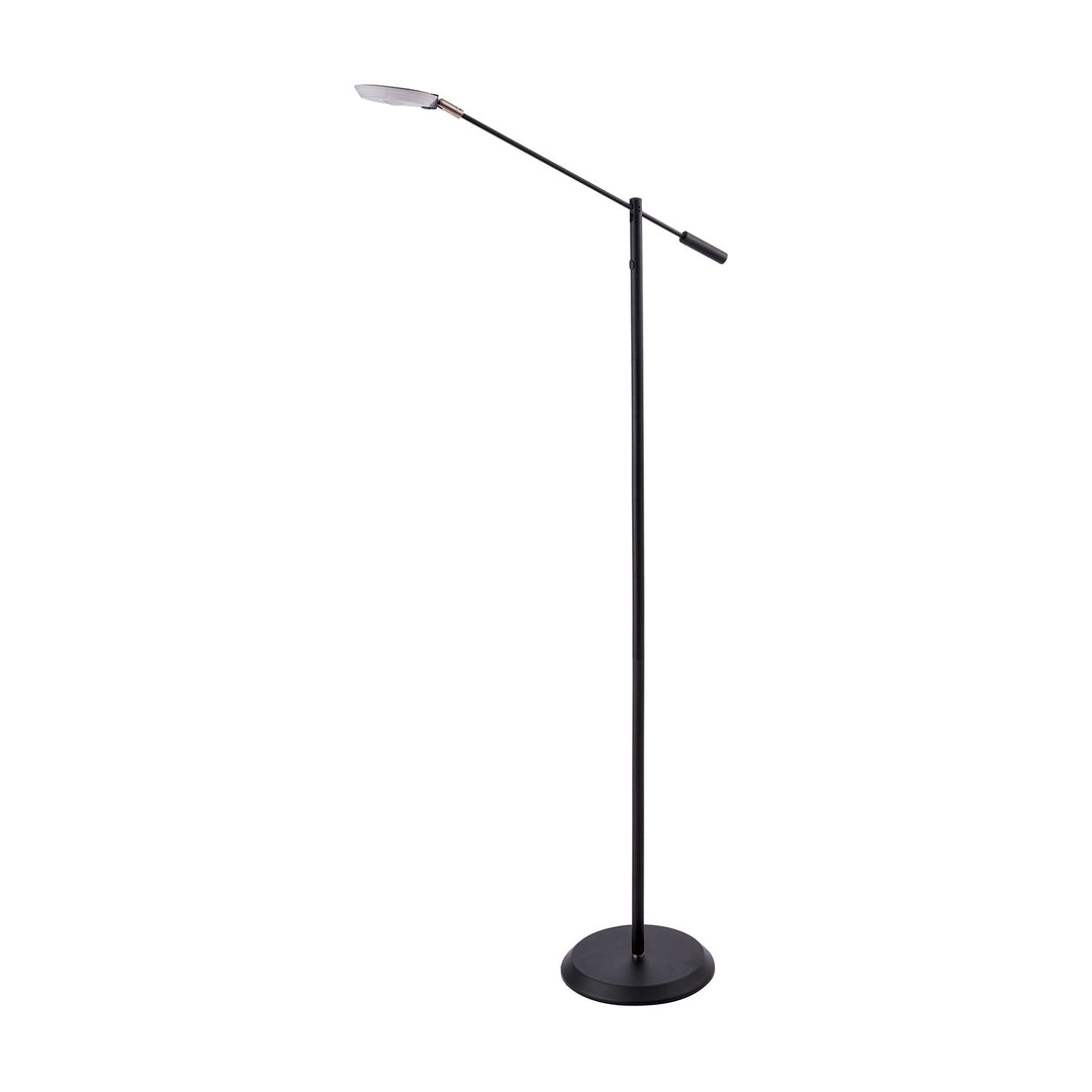Iggy LED Floor Lamp in Black Kendal Canada
