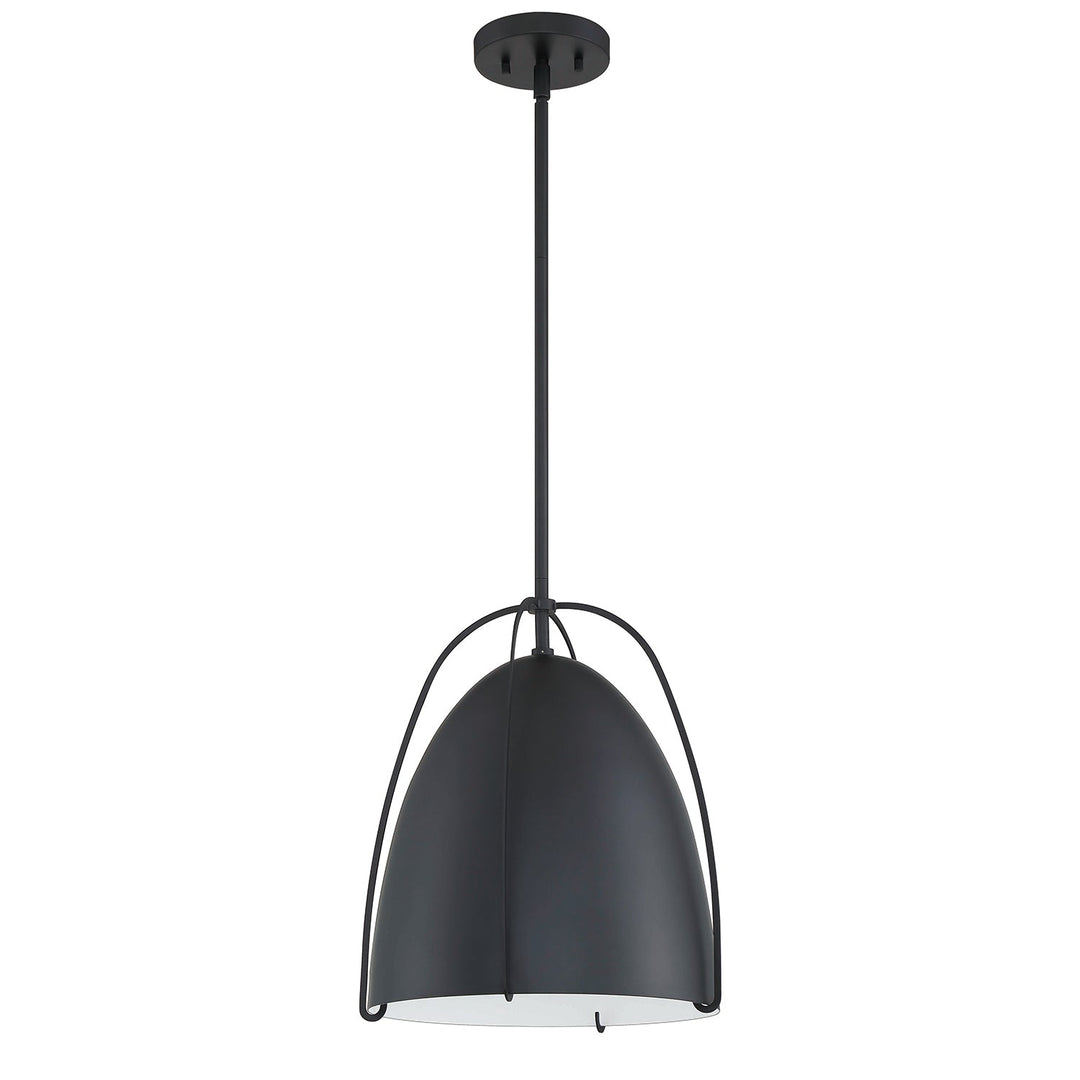 Alina One Light Pendant in Black Kendal Canada