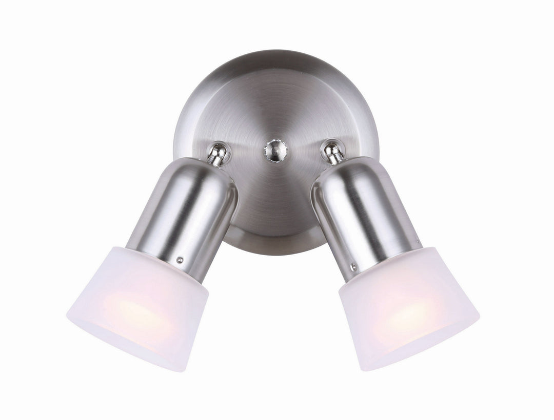 Omni Two Light Ceiling Mount in Brushed Pewter - available from The Lighting Shoppe, trusted by Canadian homeowners