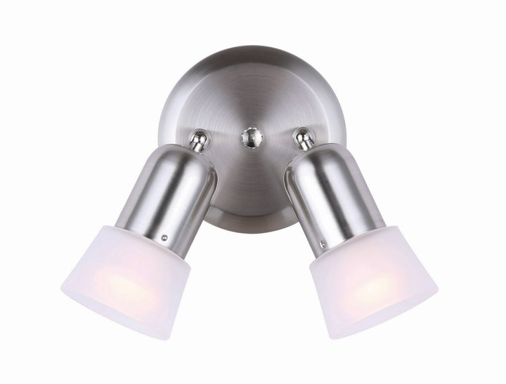 Omni Two Light Ceiling Mount in Brushed Pewter - available from The Lighting Shoppe, trusted by Canadian homeowners