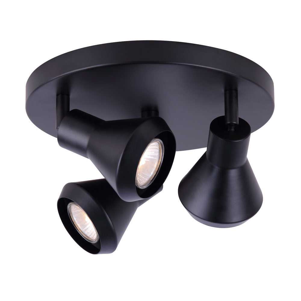 Byck Three Light Ceiling/Wall Mount in Black Canarm Canada