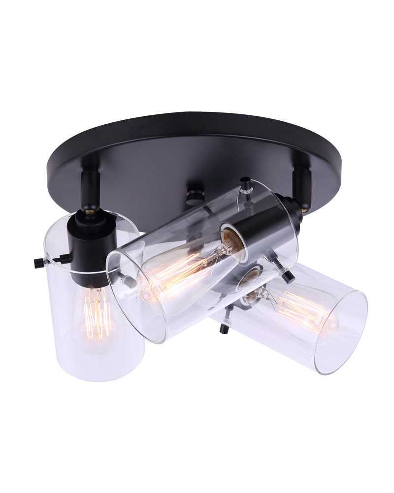 Joni Two Light Track Lighting in Black Canarm Canada