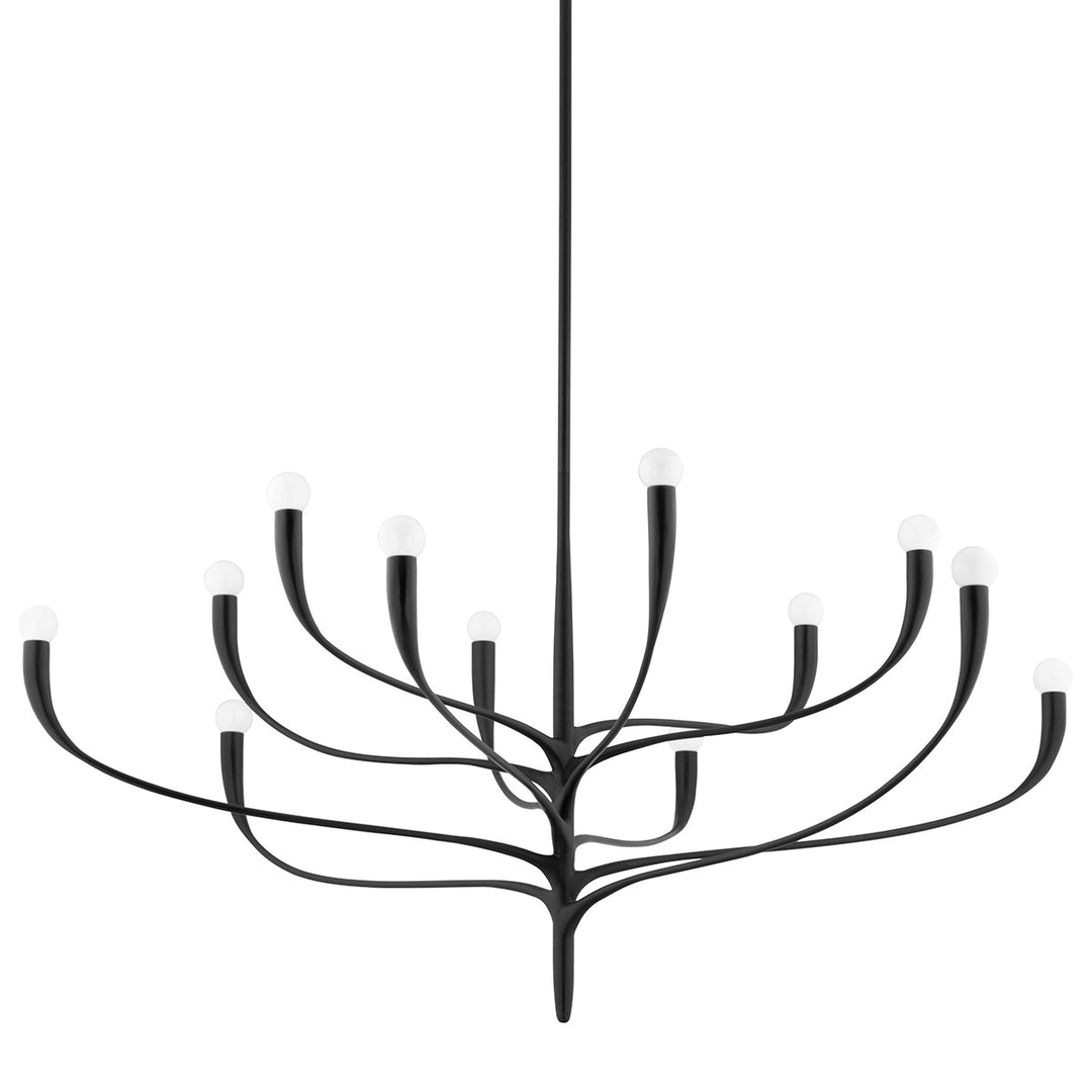 Labra 12 Light Chandelier in Aged Iron - available from The Lighting Shoppe, trusted by Canadian homeowners