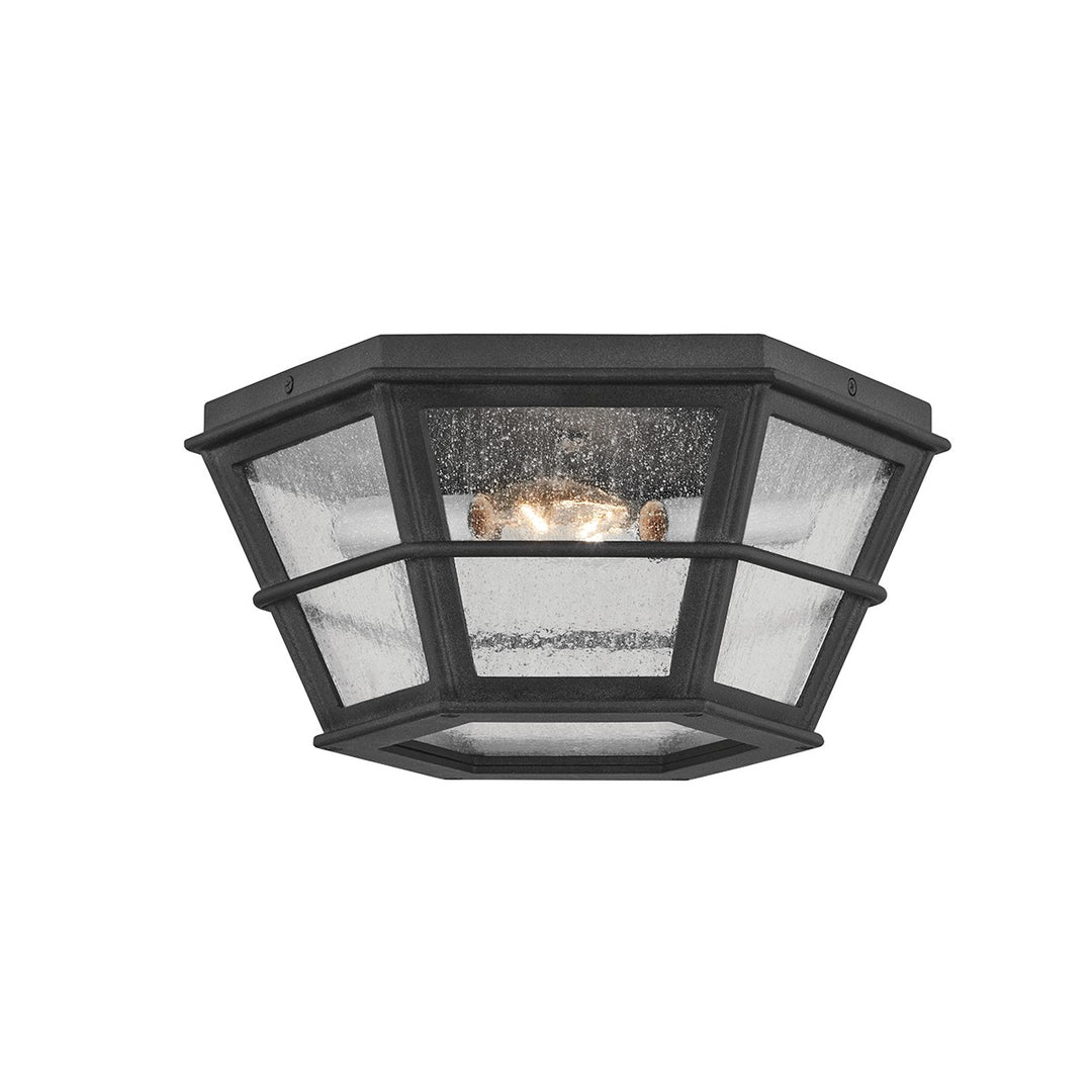 Troy Lighting Canada - C2514-FRN - Two Light Flush Mount - Lake County - French Iron