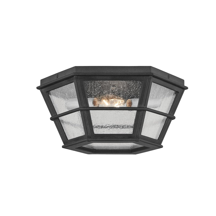 Troy Lighting Canada - C2514-FRN - Two Light Flush Mount - Lake County - French Iron