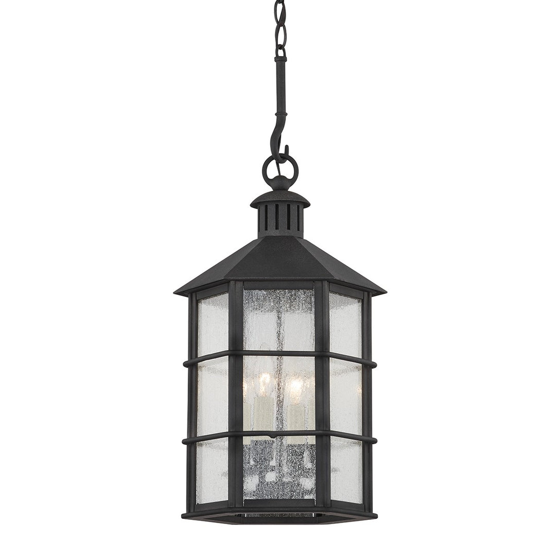 Troy Lighting Canada - F2526-FRN - Four Light Outdoor Lantern - Lake County - French Iron