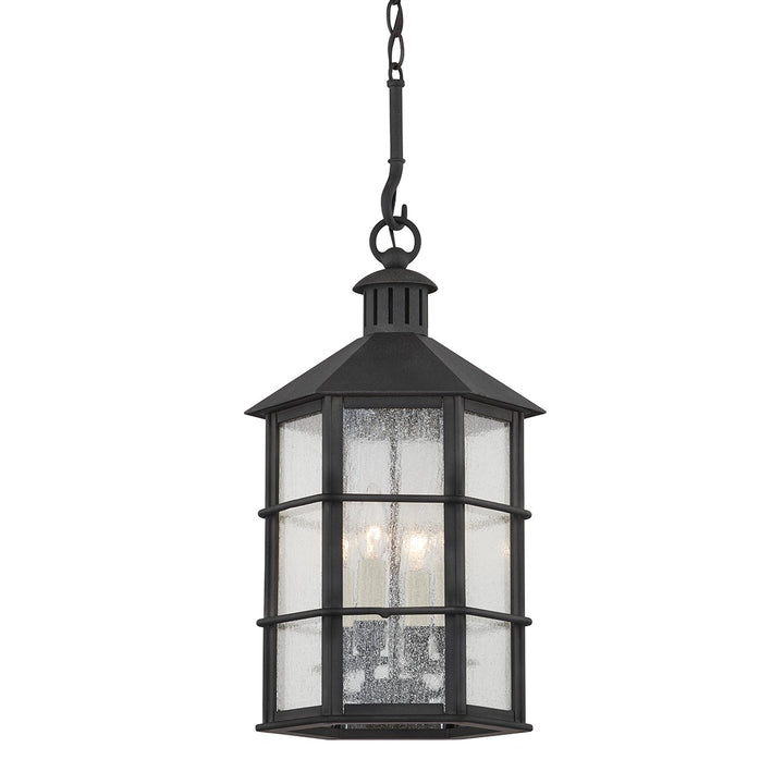 Troy Lighting Canada - F2526-FRN - Four Light Outdoor Lantern - Lake County - French Iron