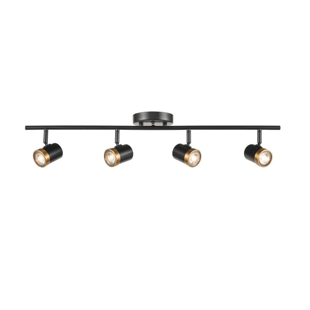 DVI Canada - DVP19987EB+MF - Four Light Track - Oeil De Base - Ebony And Multiple Finishes