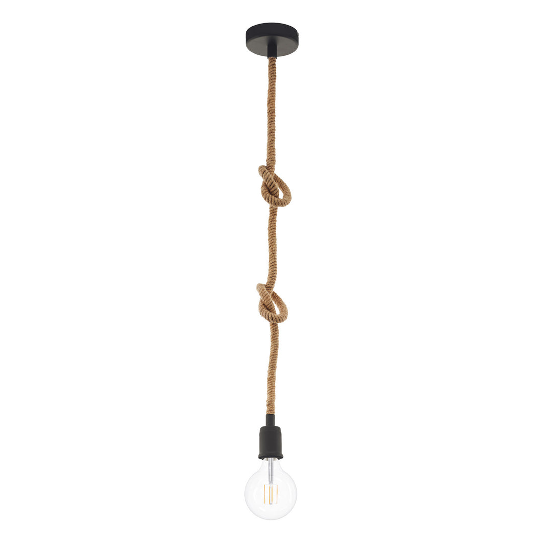 Rampside One Light Suspension in Black - available from The Lighting Shoppe, trusted by Canadian homeowners