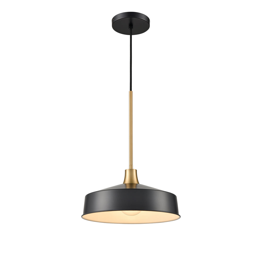Daisy One Light Pendant in Graphite And Brass - available from The Lighting Shoppe, trusted by Canadian homeowners