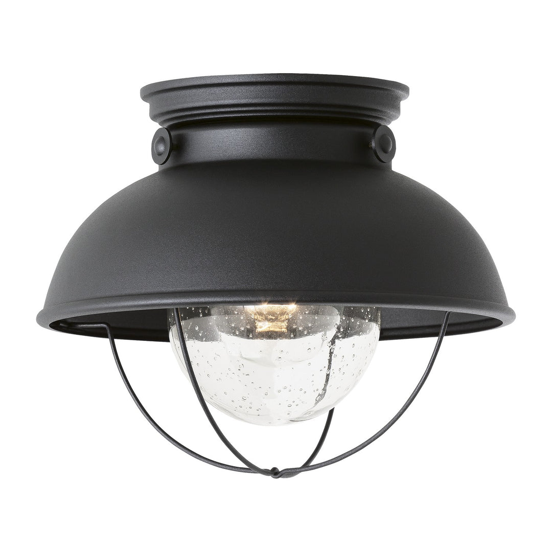 Generation Lighting Canada - 8869EN3-12 - One Light Outdoor Flush Mount - Sebring - Black