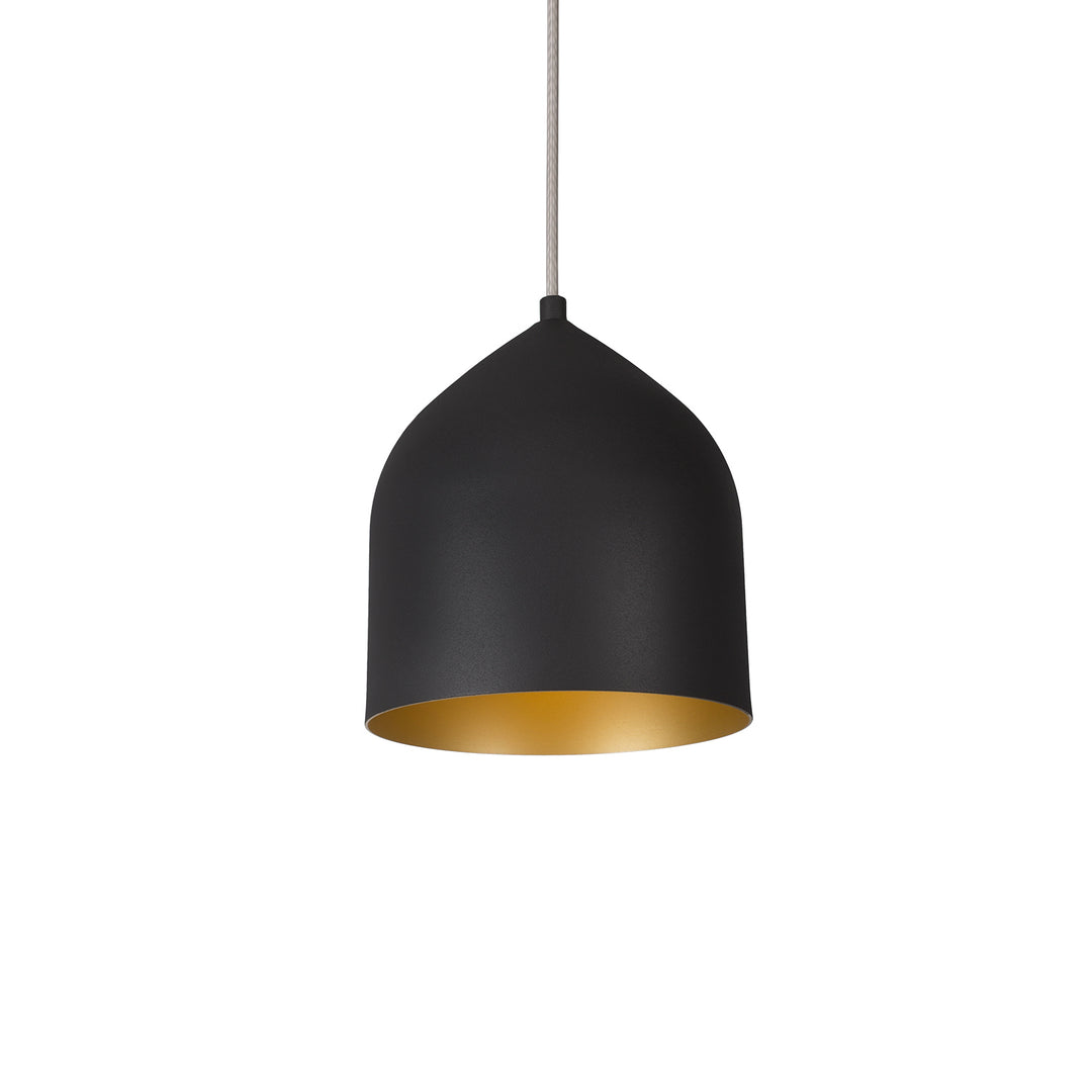 Helena LED Pendant in Black/Gold - available from The Lighting Shoppe, trusted by Canadian homeowners