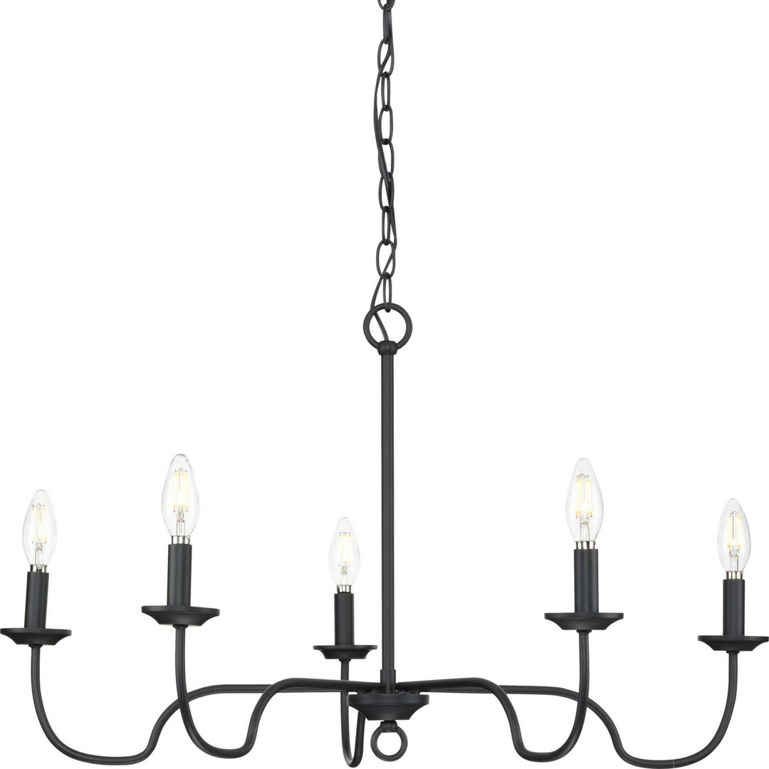 Canebrake Five Light Chandelier in Matte Black - available from The Lighting Shoppe, trusted by Canadian homeowners