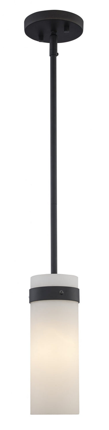 Crosby One Light Pendant in Black - available from The Lighting Shoppe, trusted by Canadian homeowners