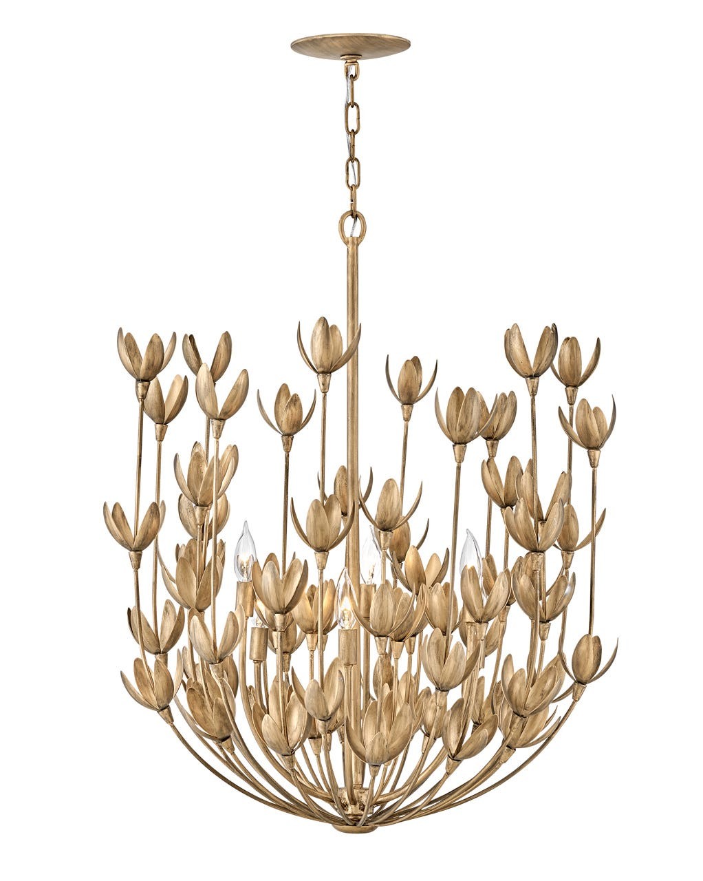 Hinkley Canada - 30016BNG - LED Chandelier - Flora - Burnished Gold