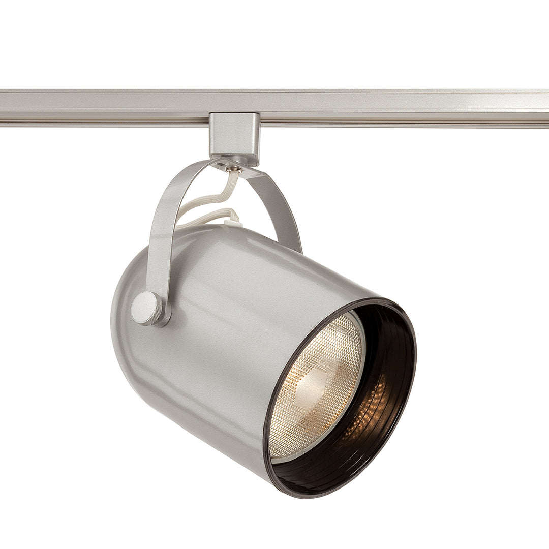 Eurofase Canada - 23402-034 - TRACKHEAD,PAR30,75W,PLATINUM - TRACK HEAD - Platinum