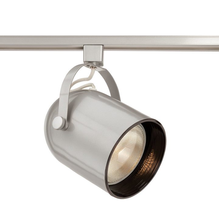 Eurofase Canada - 23402-034 - TRACKHEAD,PAR30,75W,PLATINUM - TRACK HEAD - Platinum