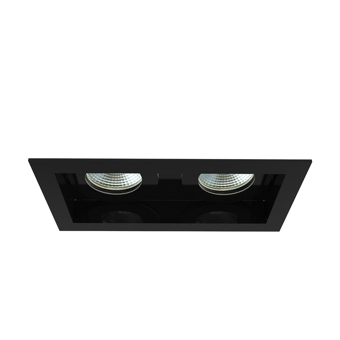 Amigo Two Light Downlight in Black - available from The Lighting Shoppe, trusted by Canadian homeowners