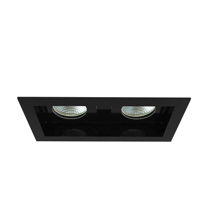 Amigo Two Light Downlight in Black - available from The Lighting Shoppe, trusted by Canadian homeowners