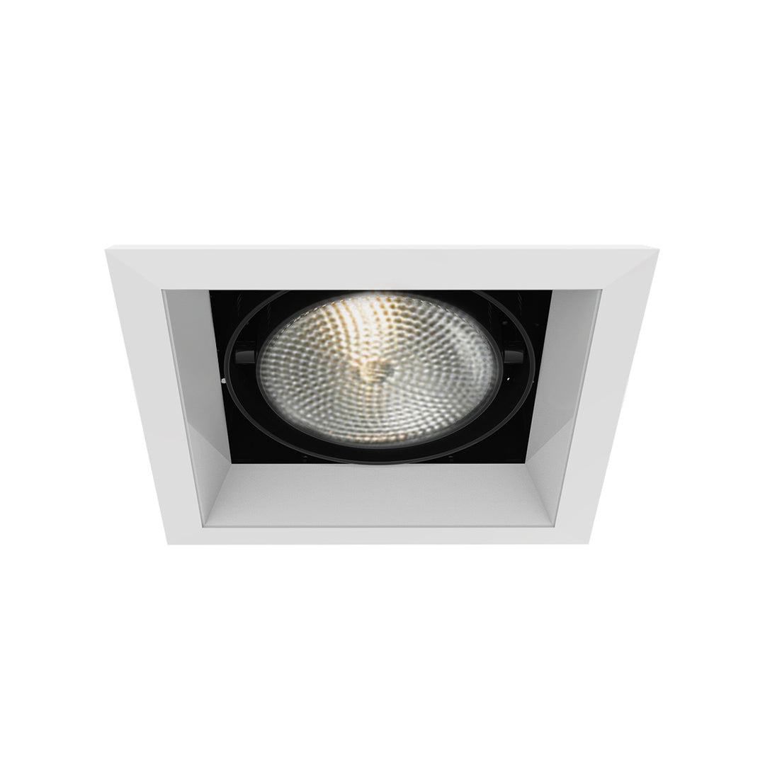 Eurofase Canada - TE131-02 - MULT,PAR30,TRM,1LT,75W,WH/BLK - PAR30MULTI-GEN - White