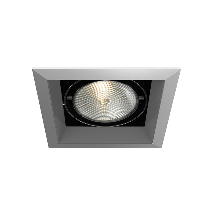 Eurofase Canada - TE131-0N - MULT,PAR30,TRM,1LT,75W,BLK/PT - PAR30MULTI-GEN - Black