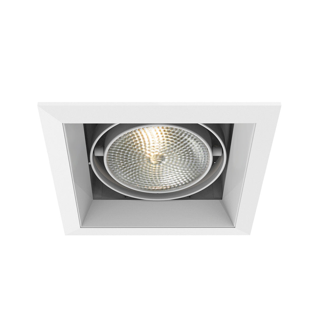 Eurofase Canada - TE131-22 - MULT,PAR30,TRM,1LT,75W,WH/WHT - PAR30MULTI-GEN - White