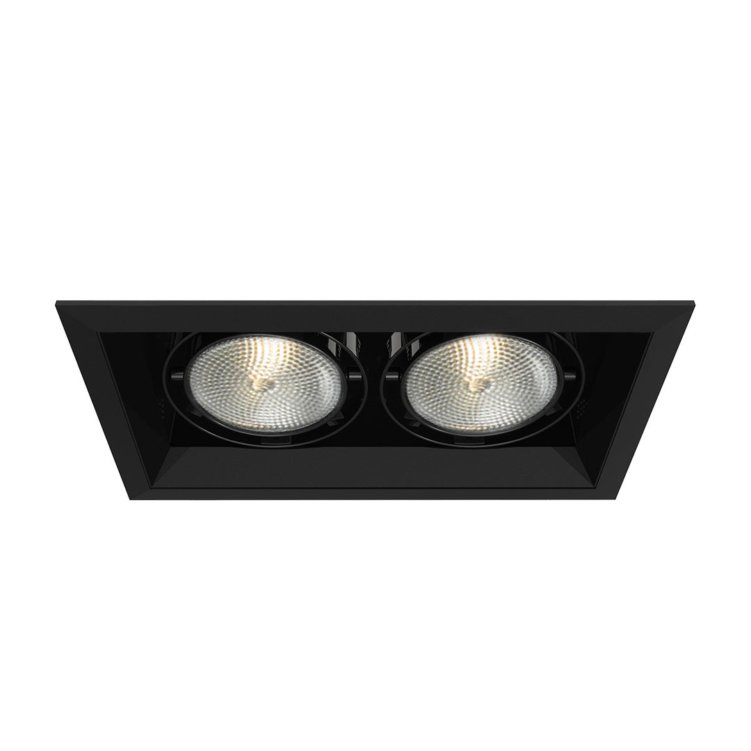 Eurofase Canada - TE132-01 - MULT,PAR30,TRM,2LT,75W,BL/BLK - PAR30MULTI-GEN - Black