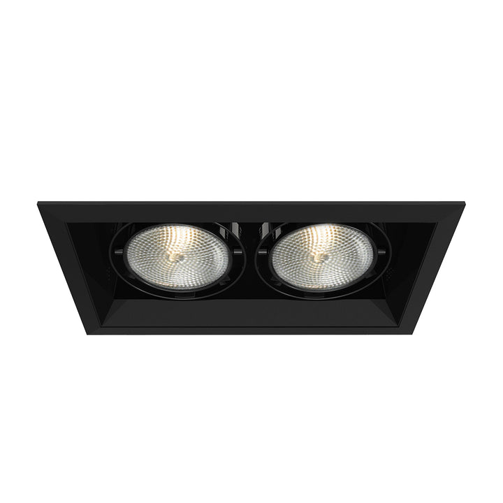 Eurofase Canada - TE132-01 - MULT,PAR30,TRM,2LT,75W,BL/BLK - PAR30MULTI-GEN - Black
