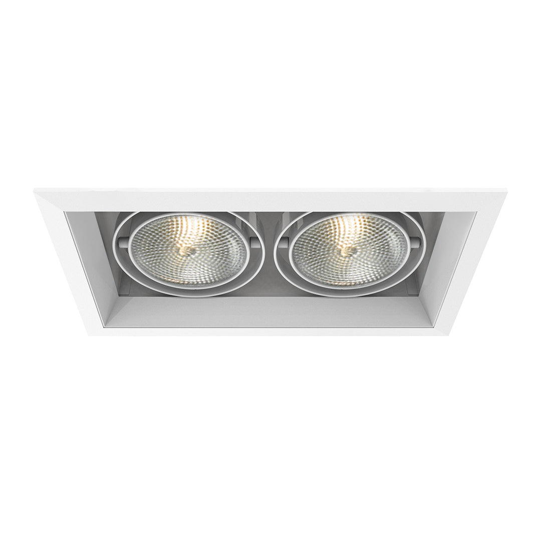 Eurofase Canada - TE132-22 - MULT,PAR30,TRM,2LT,75W,WH/WHT - PAR30MULTI-GEN - White
