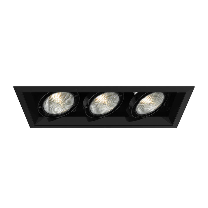 Eurofase Canada - TE133-01 - MULT,PAR30,TRM,3LT,75W,BL/BLK - PAR30MULTI-GEN - Black