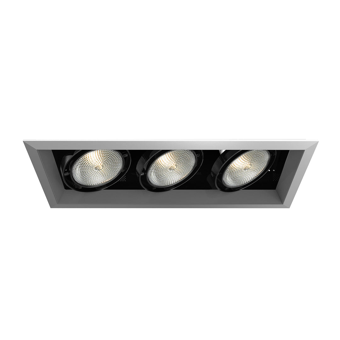 Eurofase Canada - TE133-0N - MULT,PAR30,TRM,3LT,75W,PT/BLK - PAR30MULTI-GEN - Platinum