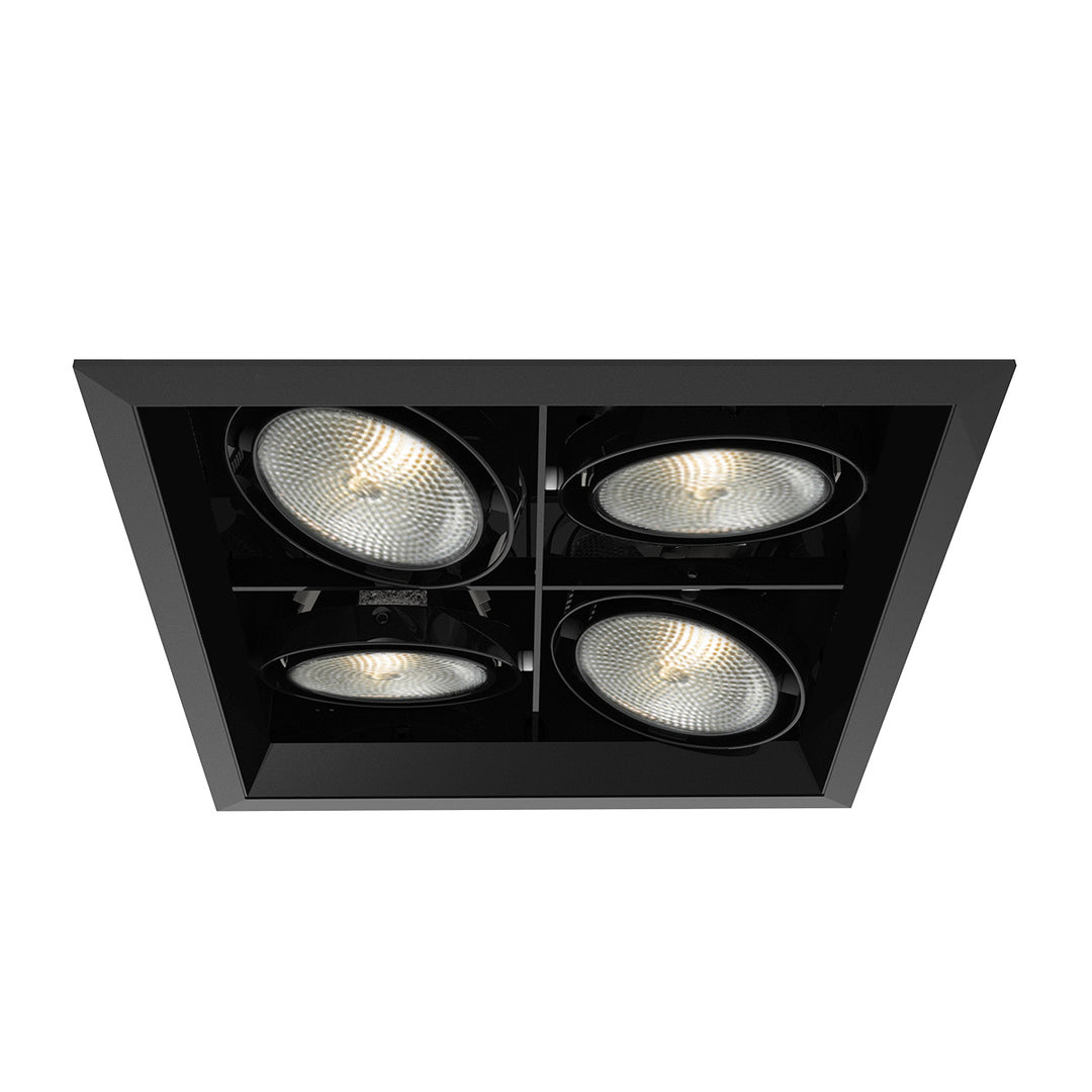 Eurofase Canada - TE134B-01 - MULT,PAR30,TRM,4LT,SQ,BLK/BLK - PAR30MULTI-GEN - Black