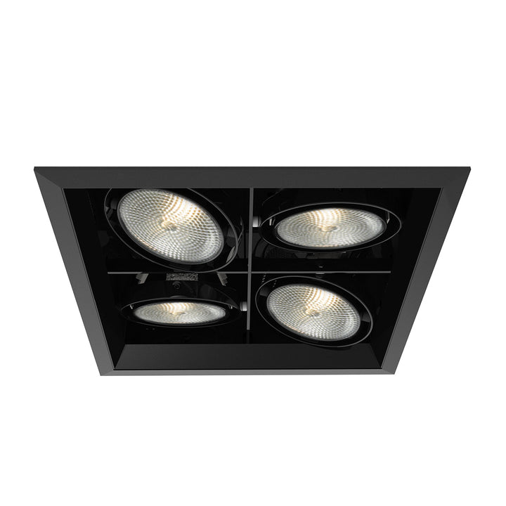 Eurofase Canada - TE134B-01 - MULT,PAR30,TRM,4LT,SQ,BLK/BLK - PAR30MULTI-GEN - Black
