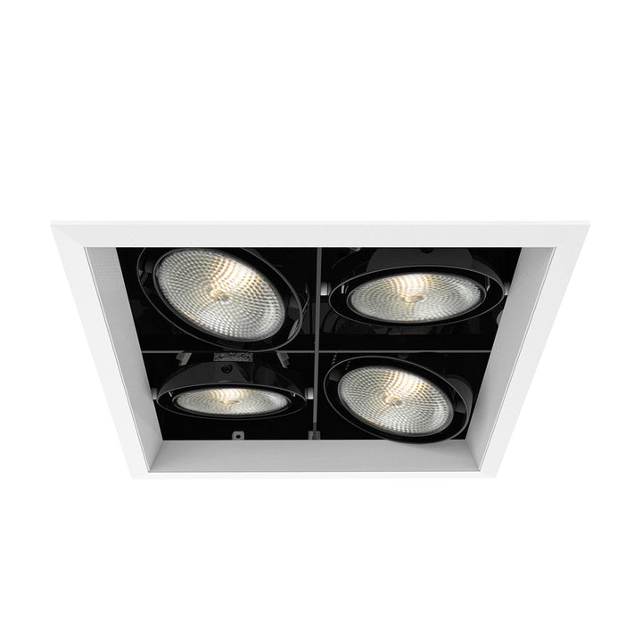 Eurofase Canada - TE134B-02 - MULT,PAR30,TRM,4LT,SQ,WHT/BLK - PAR30MULTI-GEN - White